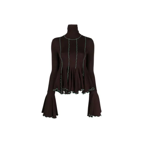 SIEDRÉS Коричневый Женские Свитеры