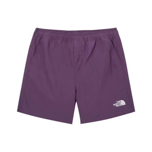 The North Face Повседневные шорты Мужские Фиолетовые