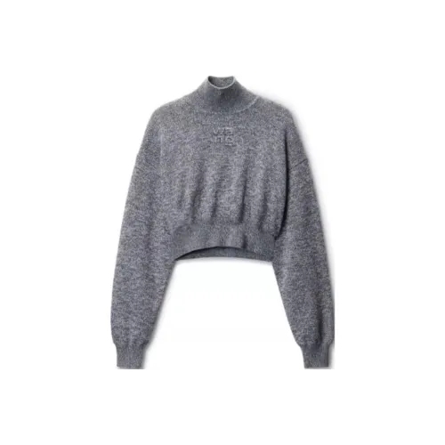 alexander wang Серые Женские Свитеры