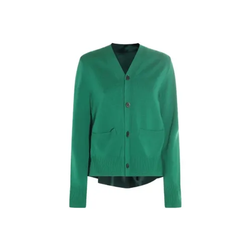 sacai Зеленый Женские Свитеры