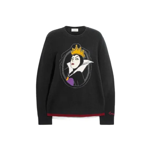 COACH Черные Женские Свитеры