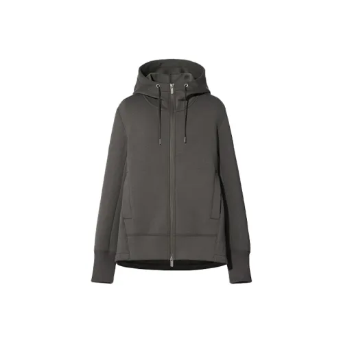 UNIQLO Свинцово-серый Женские Свитшоты