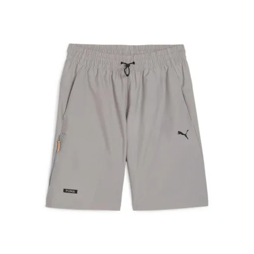 PUMA Серые Мужские Повседневные Шорты
