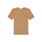 Верблюжий цвет