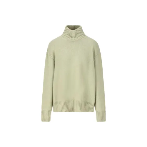 Loro Piana Зеленые Женские Свитеры