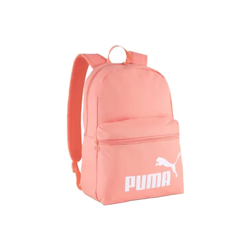 THE NORTH FACE Полиэстер Рюкзак Унисекс Фрукты Пудра