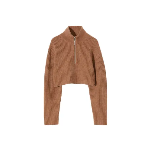 EYTYS Коричневый Женские Свитеры