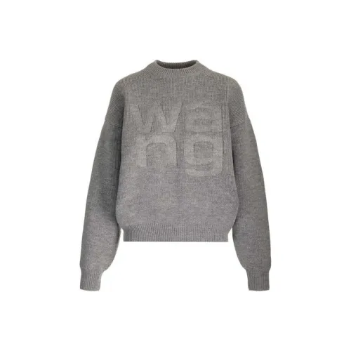 alexander wang Серые Женские Свитеры