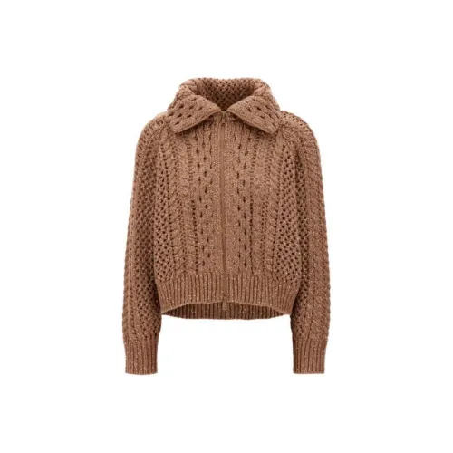 BRUNELLO CUCINELLI Трикотаж Женский Коричневый