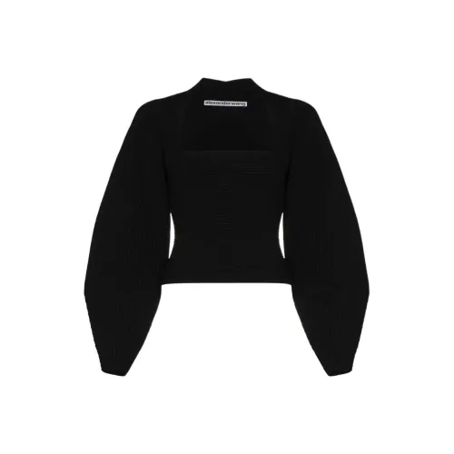 alexander wang Черные Женские Свитеры