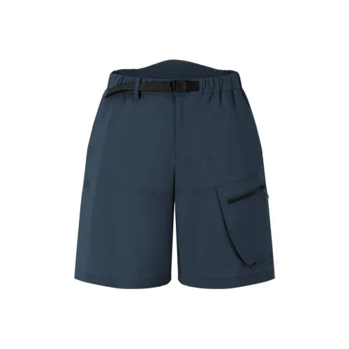 DESCENTE BLEU Повседневные шорты Мужские