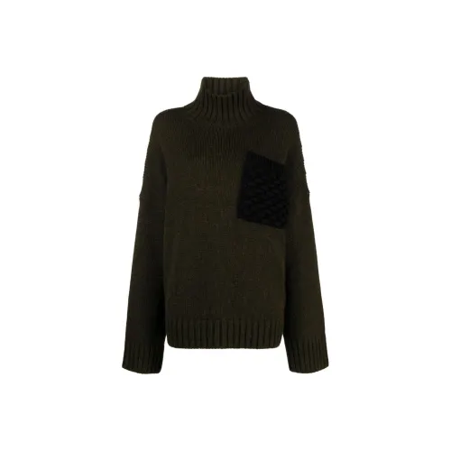 JW Anderson Оливково-зеленый Женские Свитеры