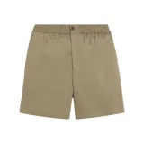 Лорел дерево