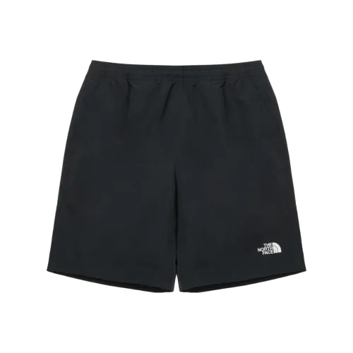 THE NORTH FACE DAILY ESSENTIAL Повседневные шорты Мужские Черные