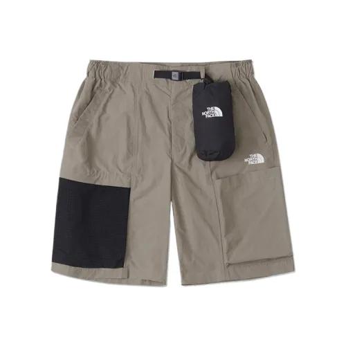 THE NORTH FACE Urban Exploration Повседневные шорты Мужские Коричневые
