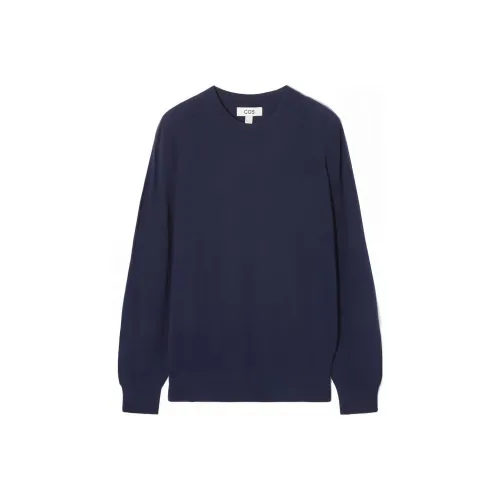 COS Темно-синий Женские Свитеры
