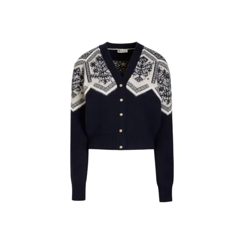 BALLY FW24 Свитер Женский Синий