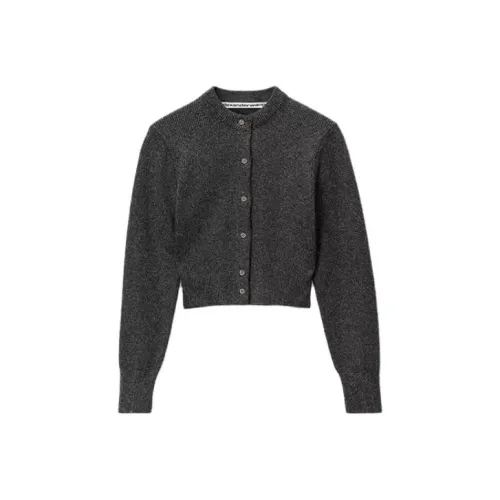 alexander wang Темно-серый Смешанный цвет Женские Свитеры