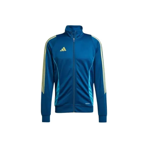 Adidas Tiro 24 Куртка Мужская Legendary Морской Синий Жемчужный Цитрин