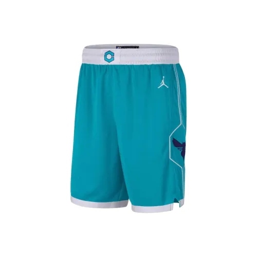NBA Charlotte Hornets Charlotte Hornets Jordan Icon Swingman Баскетбольные шорты Мужской Озерный Синий