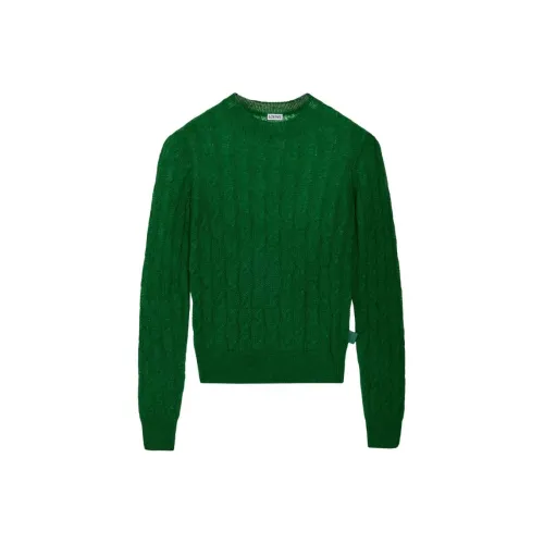 LOEWE SS25 Свитер Женский Зеленый
