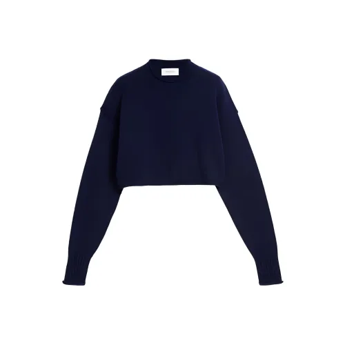 SportMax Синий Женские Кашемировые Свитеры