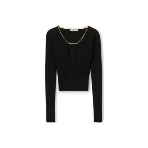 alexander wang Черные Женские Свитеры