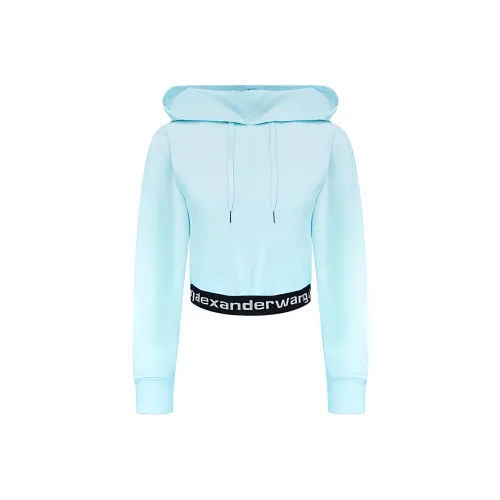 Alexander Wang Толстовка Женская Синяя