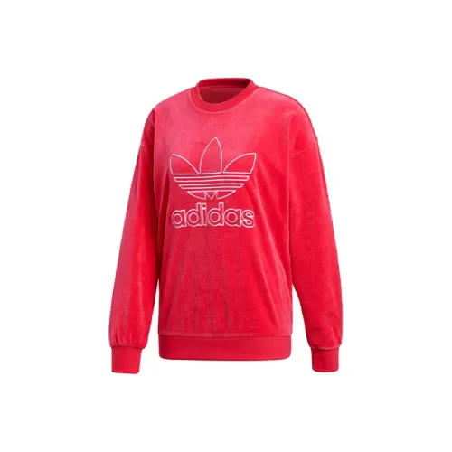 adidas originals Розово-красный Женские Свитшоты