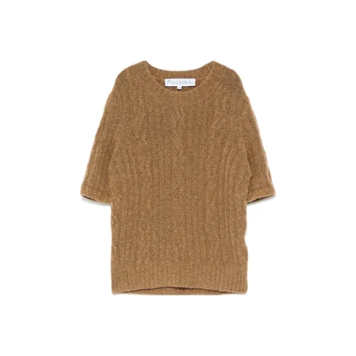 JW Anderson Бежевые Женские Свитеры