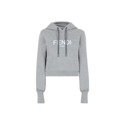 FENDI FW22 Толстовка Женская Серого цвета