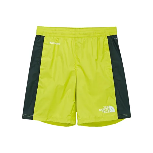 The North Face Hydrenaline Повседневные шорты Мужские Яблочно-зеленый