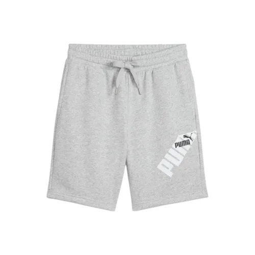PUMA Light Gray Men's Casual Shorts  
PUMA Светло-серые Мужские Повседневные Шорты