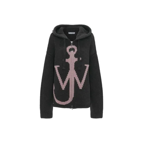 JW Anderson Серые Женские Свитеры