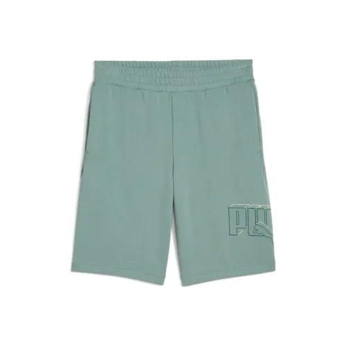 PUMA Зеленый/30 Мужские Повседневные Шорты
