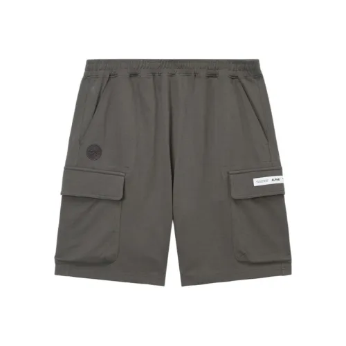 Совместный бренд Alpha Industries GYD/серый Мужские Повседневные шорты