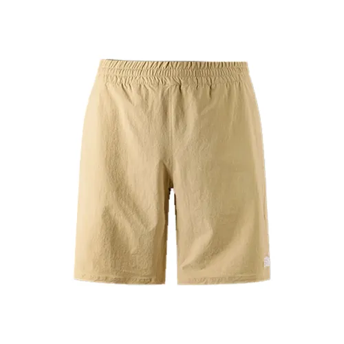 THE NORTH FACE Urban Exploration Повседневные шорты Мужские Камень Коричневый