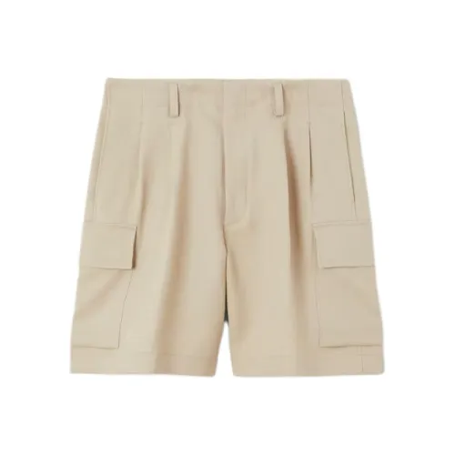 Loro Piana Earth Серый Умбра Мужские Повседневные Шорты