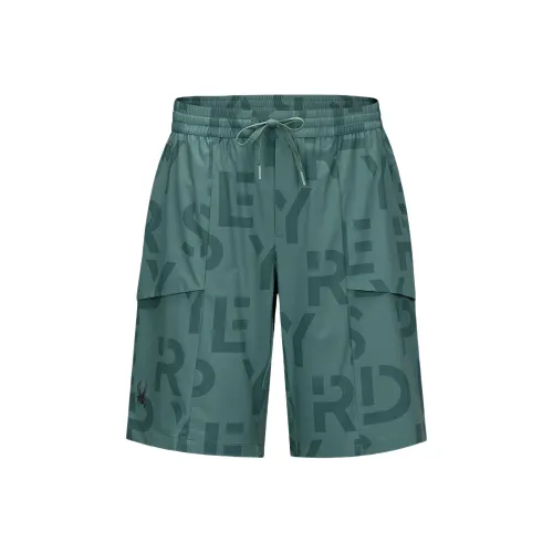 SPYDER SS24 Urban Life Повседневные шорты Мужские Серый Фиолетовый