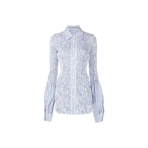 alexander wang Синие Женские Рубашки