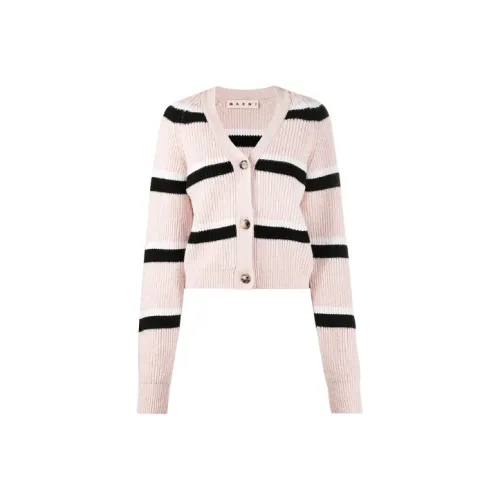 MARNI FW21 Loose Fit Трикотаж Женский Light Pink