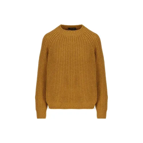 Loro Piana Коричневые Женские Свитеры