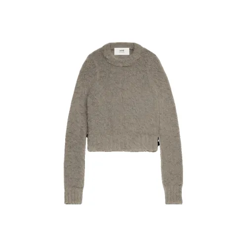 AMIPARIS Коричневый Женские Свитеры