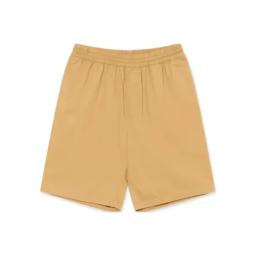 POLAR SKATE CO SS25 Повседневные шорты Мужские