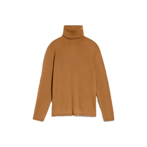 MaxMara Коричневые Женские Свитеры