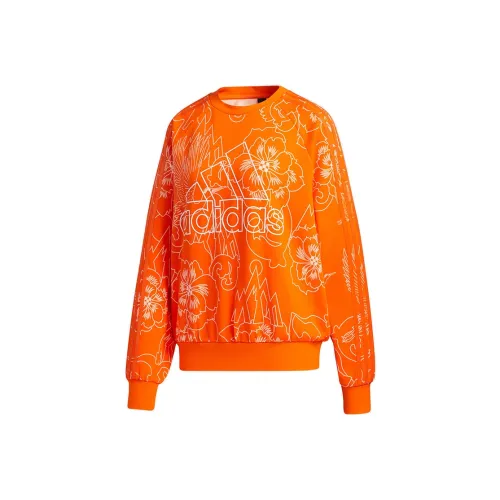 Adidas Апельсиновые Женские Свитшоты