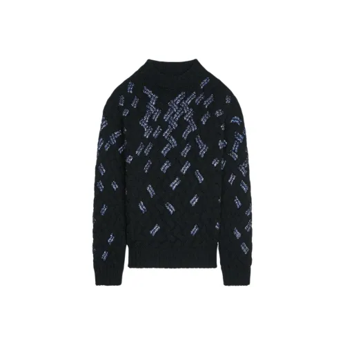 DRIES VAN NOTEN Черные Женские Свитеры