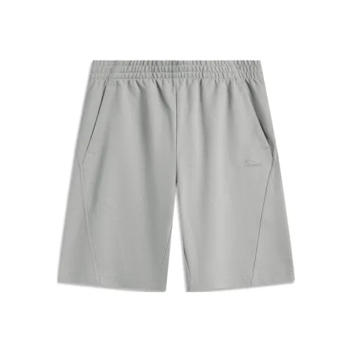 Лайнер Sports Life Collection Повседневные шорты Мужской LUNAR Поверхность Серый