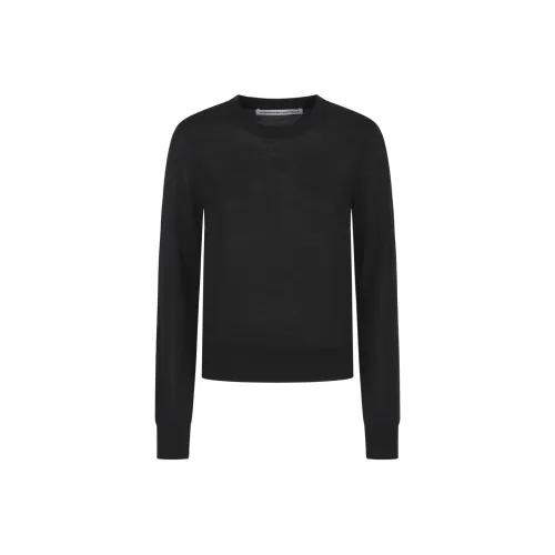 alexander wang Черные Женские Свитеры