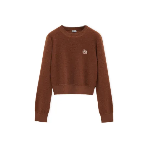 LOEWE SS25 Женская Предсборная Коллекция Свитер Женский Коричневый